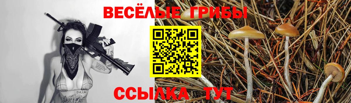 Галлюциногенные грибы GOLDEN TEACHER  Вход с VPN  Анжеро-Судженск 